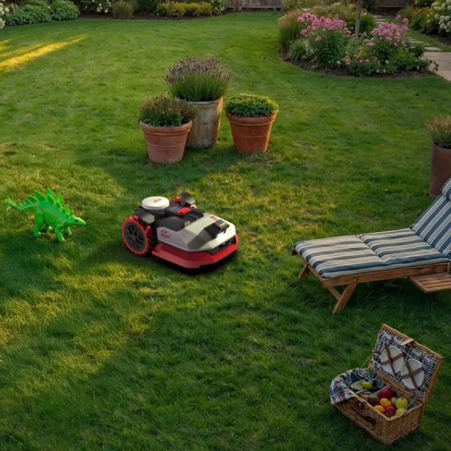 Gepflegte Rasenfläche mit Mähroboter